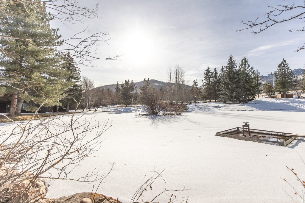 2100 CANYONS RESORT DR #10-B1 Park City, UT 84098