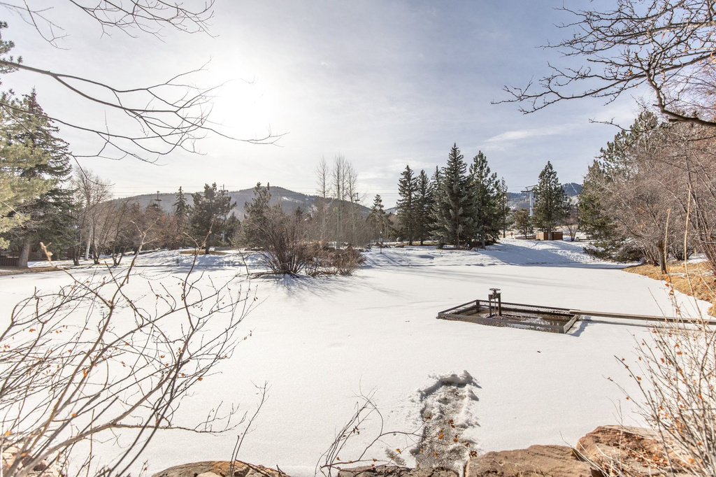 2100 CANYONS RESORT DR #10-B1 Park City, UT 84098