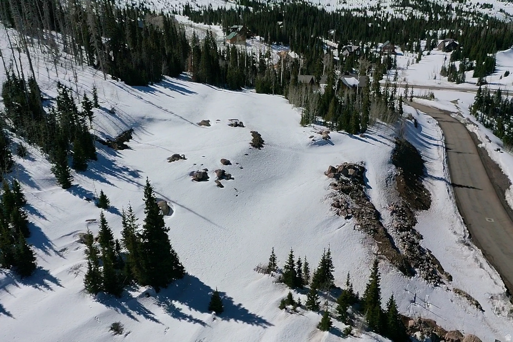 230 N HIGHLAND DR Brian Head, UT 84719