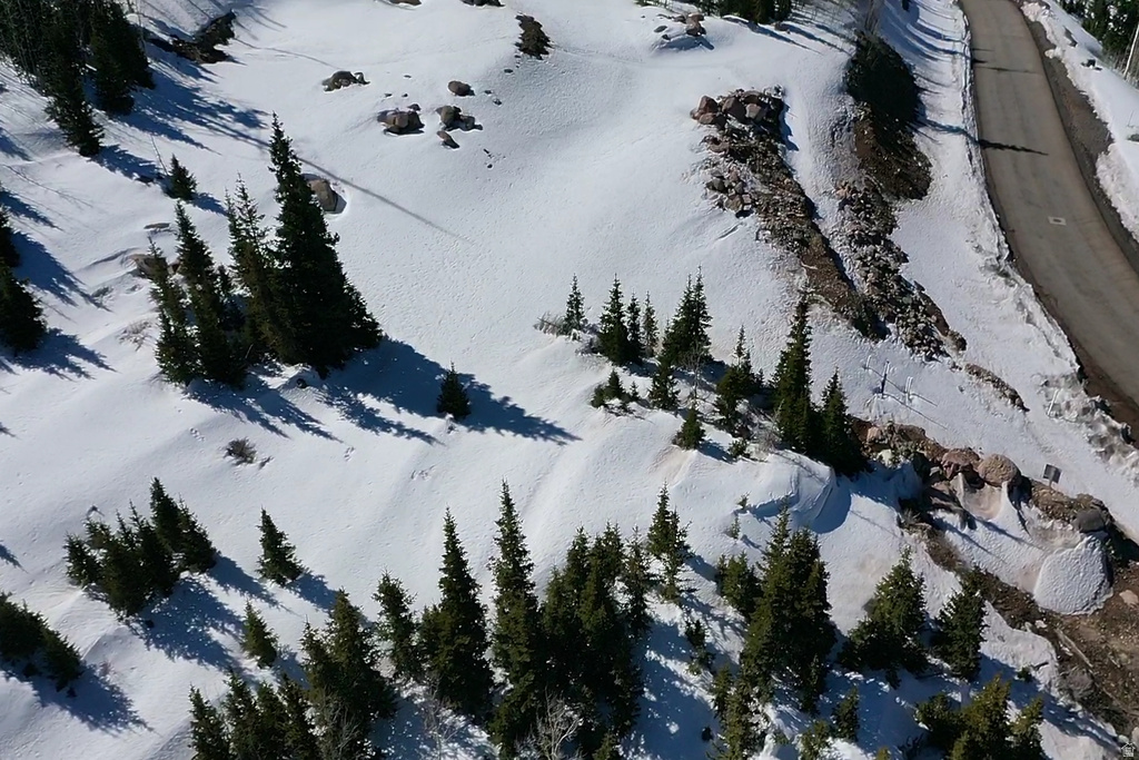 230 N HIGHLAND DR Brian Head, UT 84719