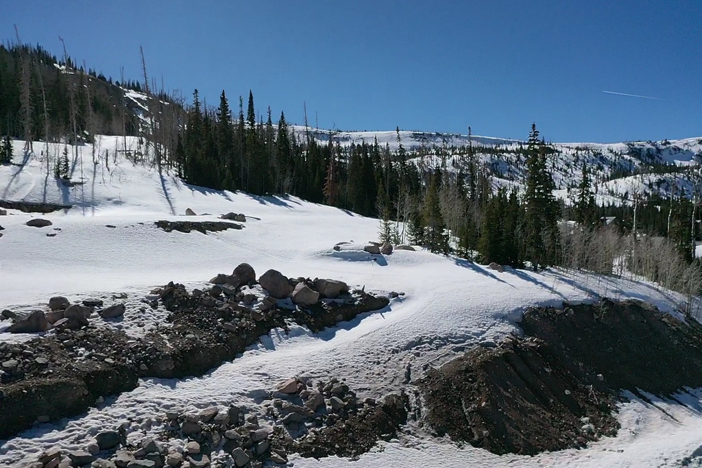 230 N HIGHLAND DR Brian Head, UT 84719