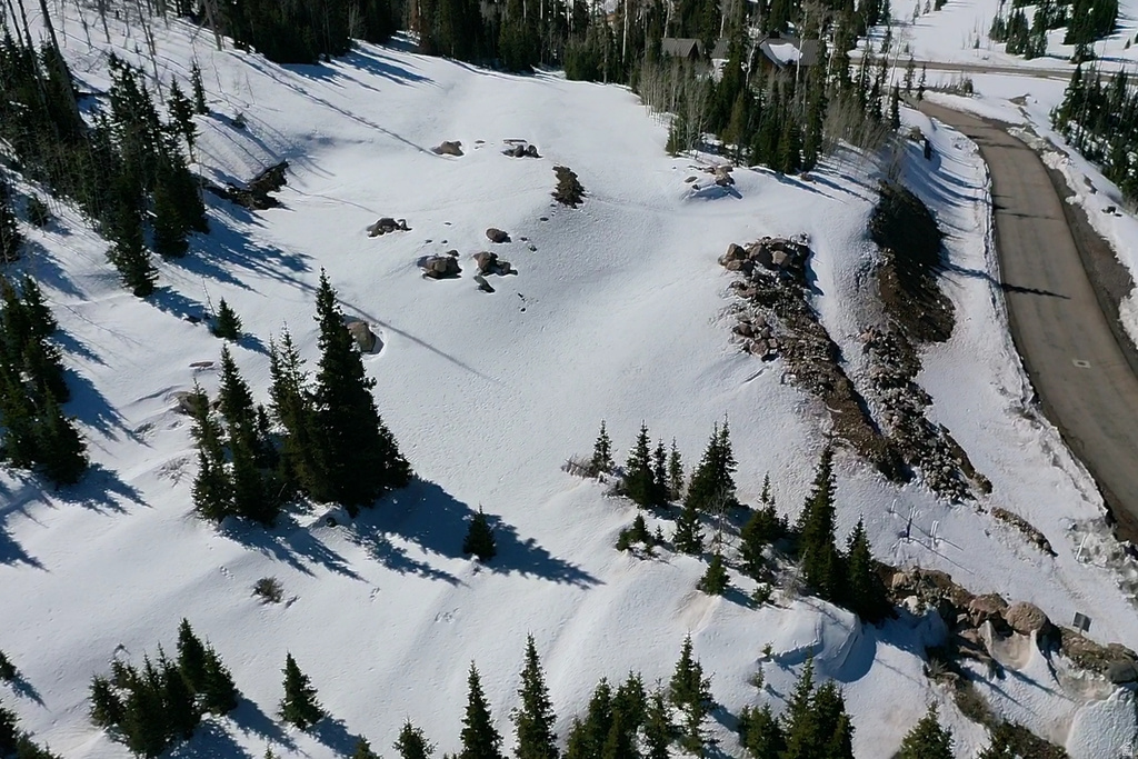 230 N HIGHLAND DR Brian Head, UT 84719