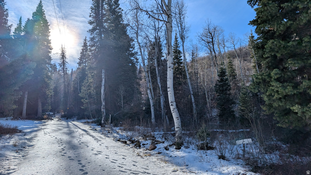 219  UPPER OAK CIR Huntsville, UT 84317