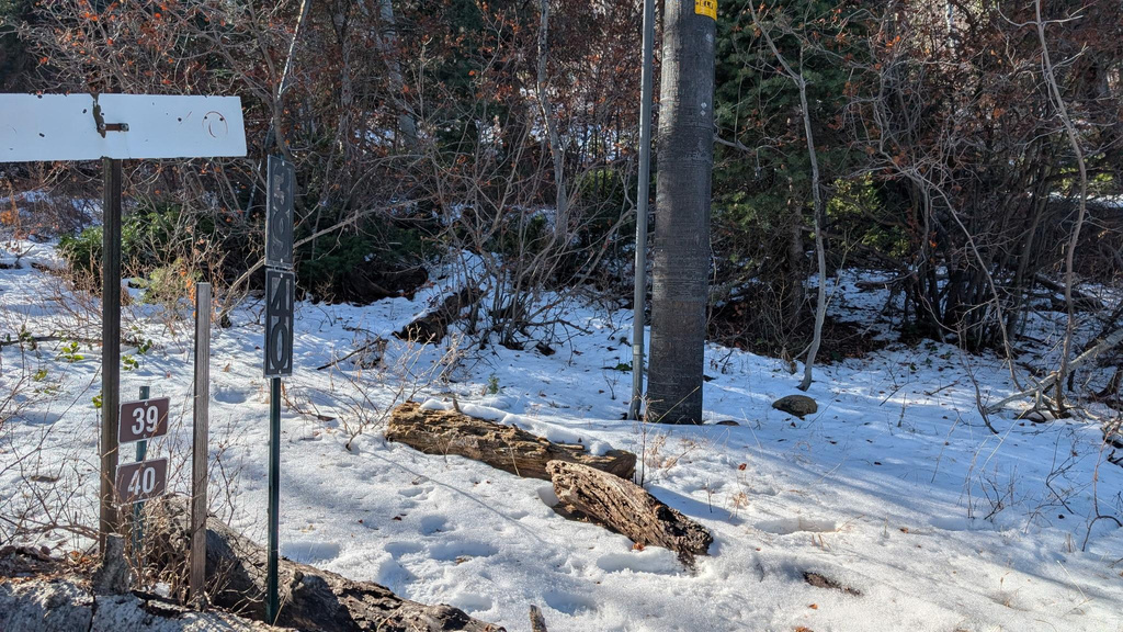 219  UPPER OAK CIR Huntsville, UT 84317