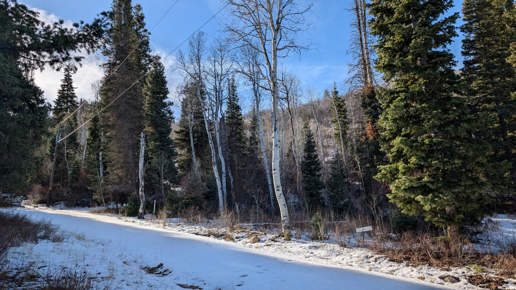 219  UPPER OAK CIR Huntsville, UT 84317