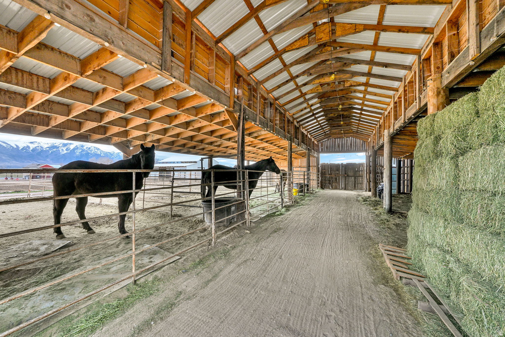 6685 W 10125 N Tremonton, UT 84337