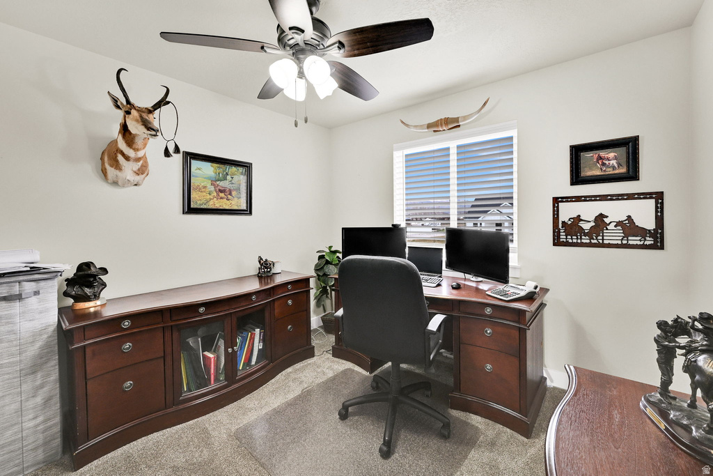 6685 W 10125 N Tremonton, UT 84337