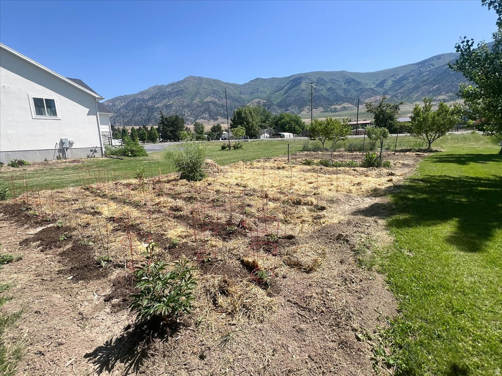 7755 N HIGHWAY 38 Honeyville, UT 84314