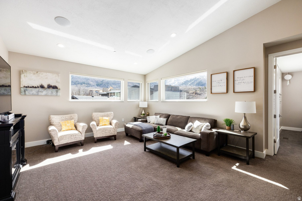 806 S SUMMIT CREEK DR Woodland Hills, UT 84653