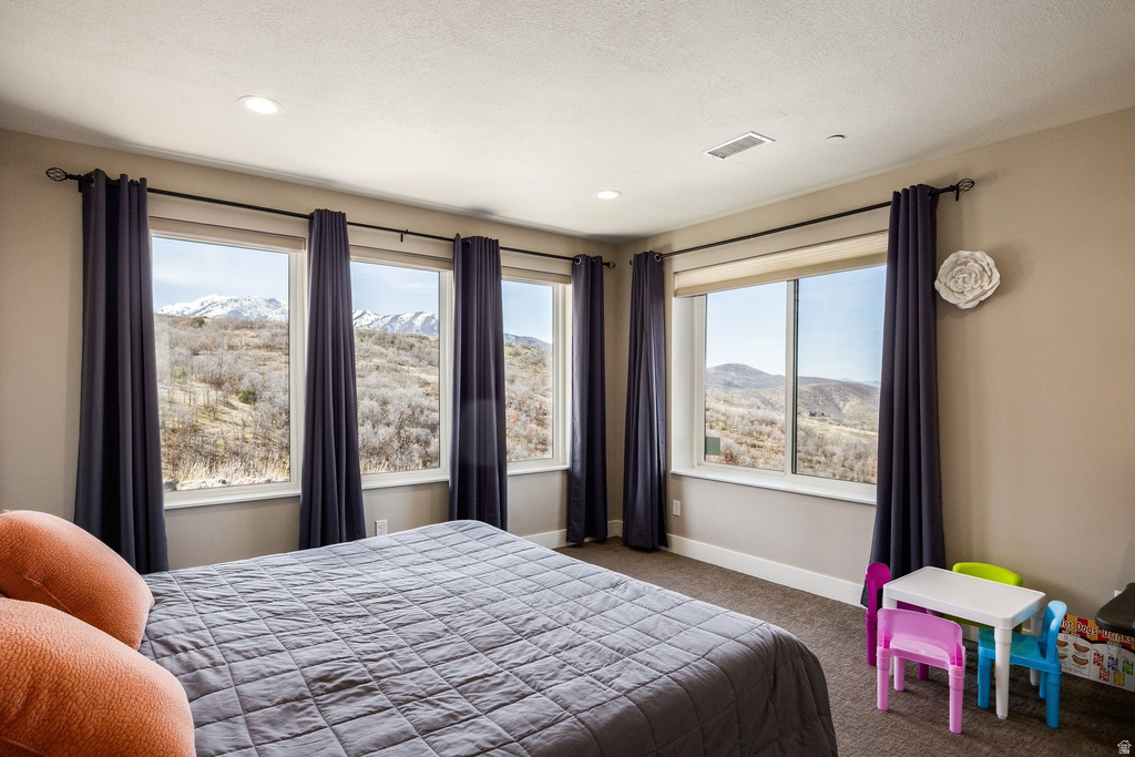 806 S SUMMIT CREEK DR Woodland Hills, UT 84653