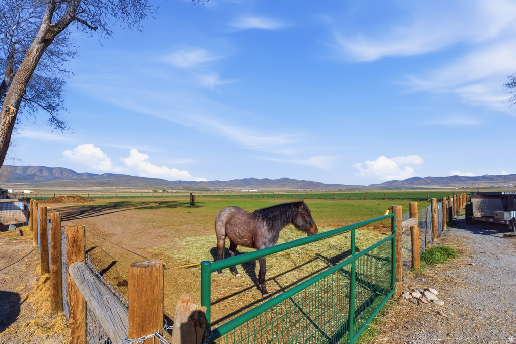 10090 W 12000 N Tremonton, UT 84337