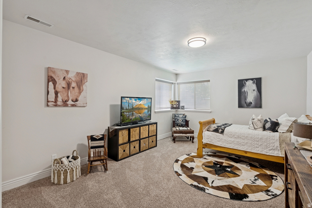 Bedroom with carpet floors and baseboards