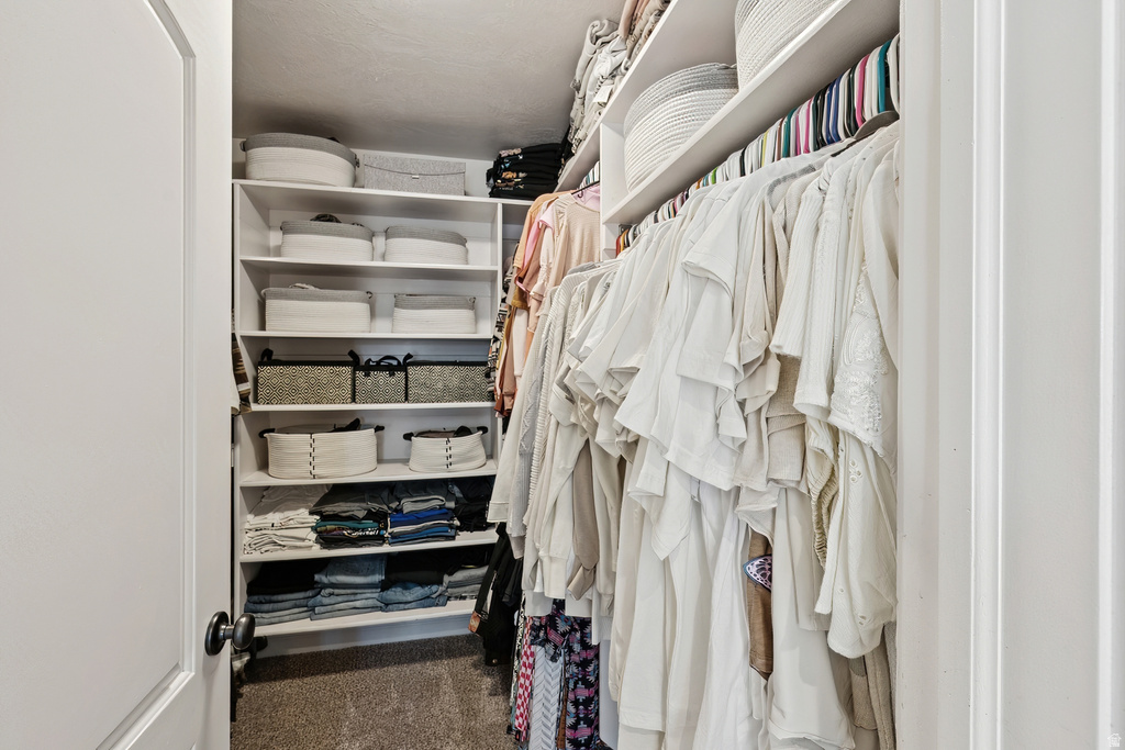 Walk in closet with dark colored carpet
