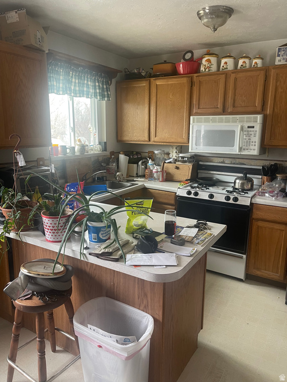 13105 S 2110 W Riverton, UT 84065