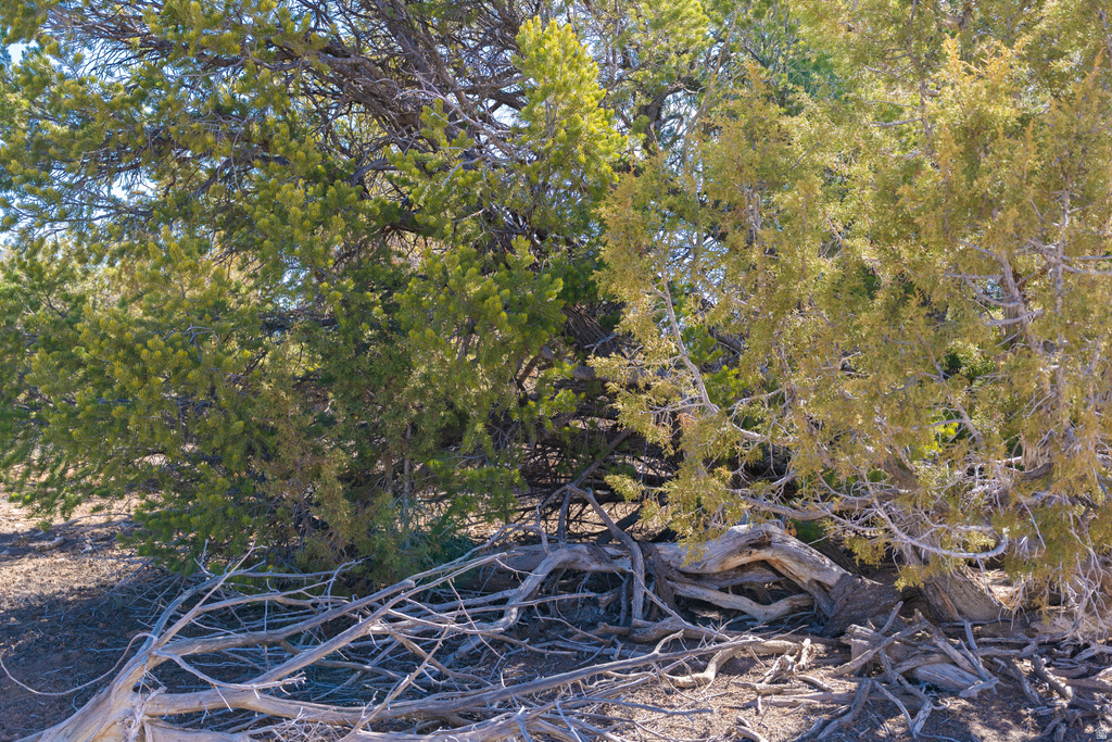 335 N NORTH OLD HWY Monticello, UT 84535