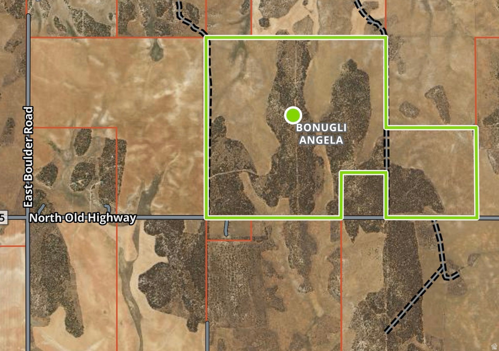 335 N NORTH OLD HWY Monticello, UT 84535