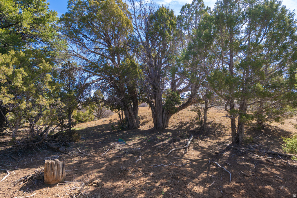 335 N NORTH OLD HWY Monticello, UT 84535