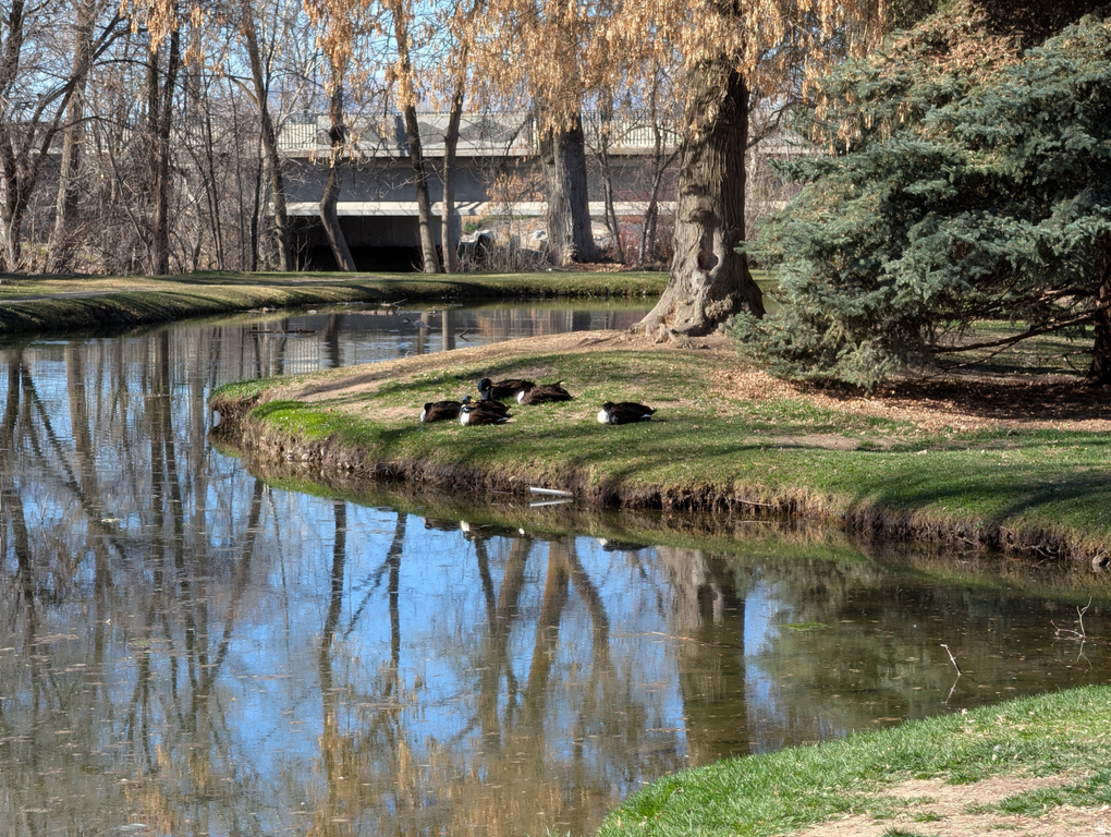 1524 W MERLIN DR Provo, UT 84601