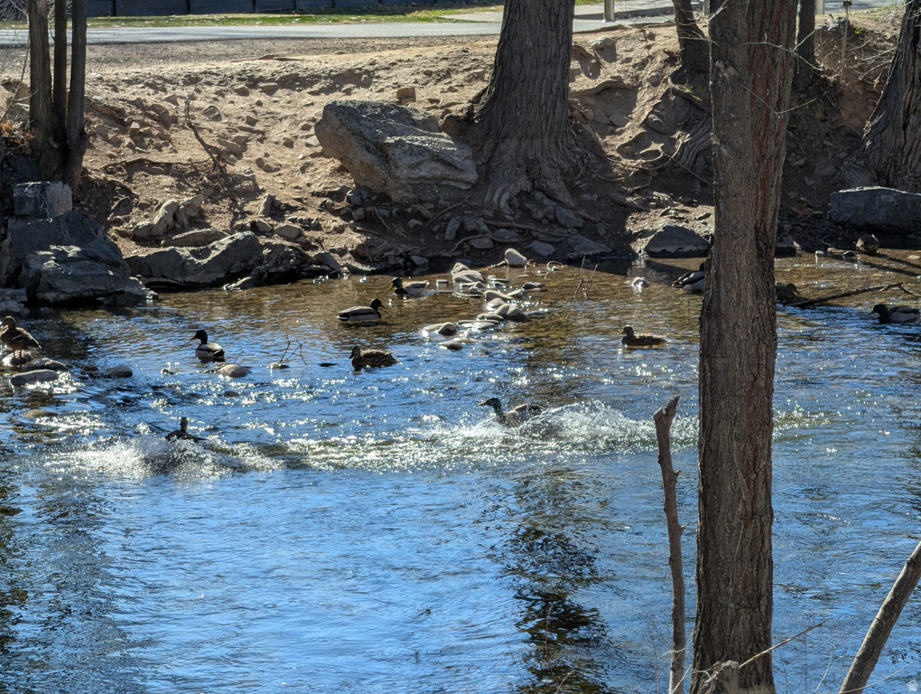 1524 W MERLIN DR Provo, UT 84601