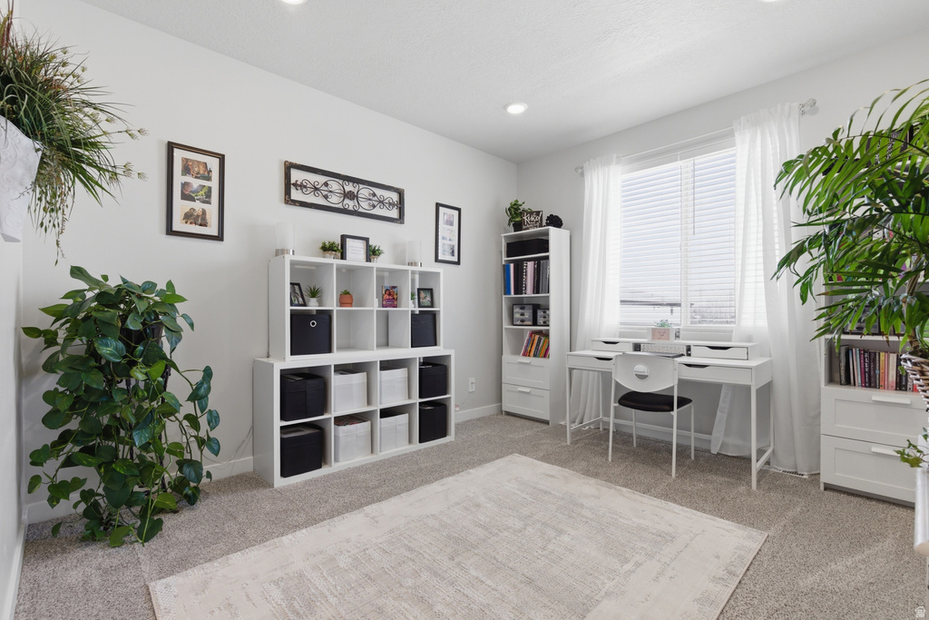 277 N HATCHET RANCH DR Grantsville, UT 84029