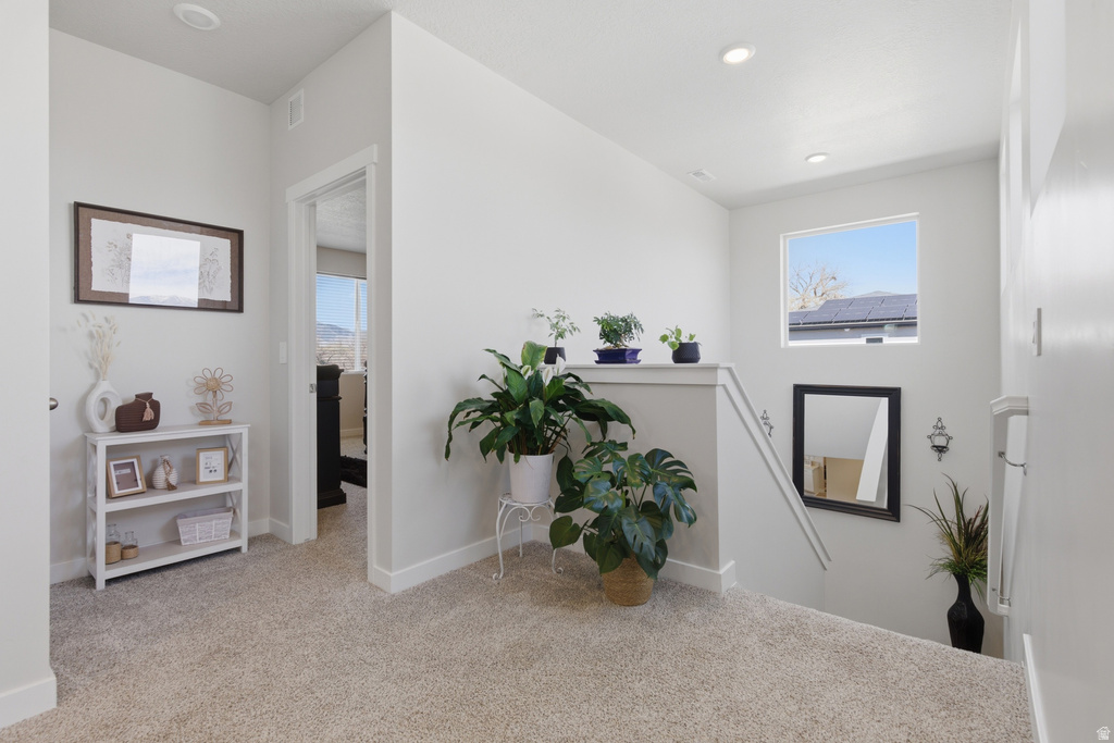 277 N HATCHET RANCH DR Grantsville, UT 84029