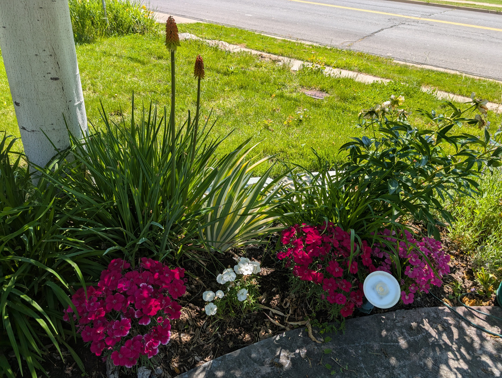 1515 E GENTILE ST Layton, UT 84040