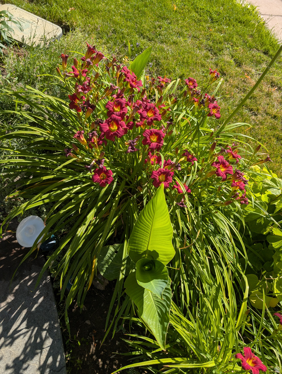 1515 E GENTILE ST Layton, UT 84040