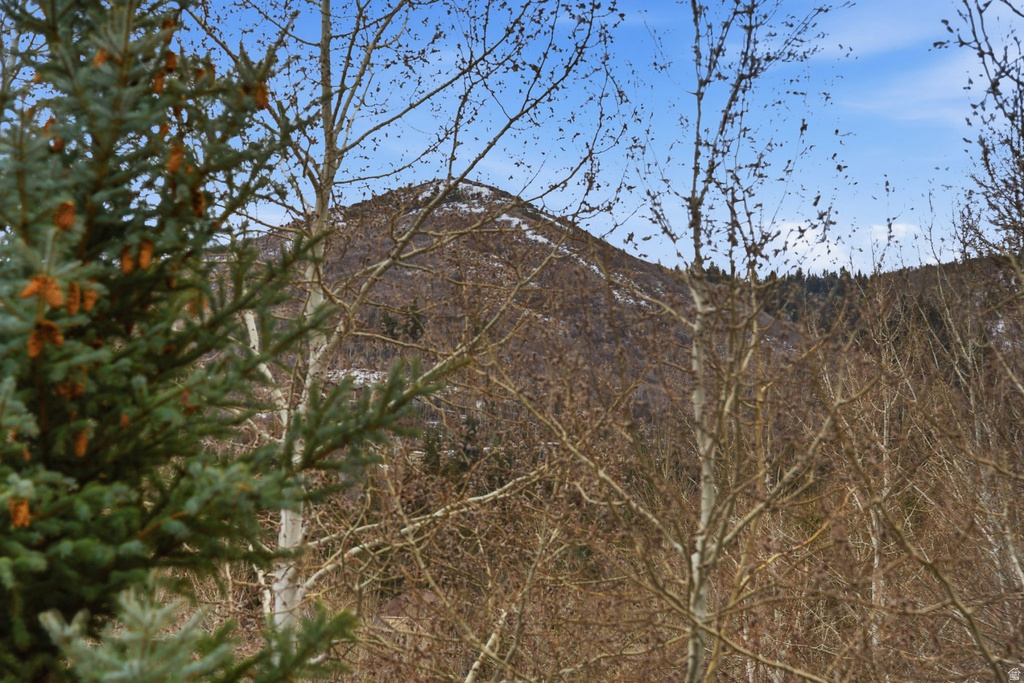 7890 BOOTHILL DR Park City, UT 84098