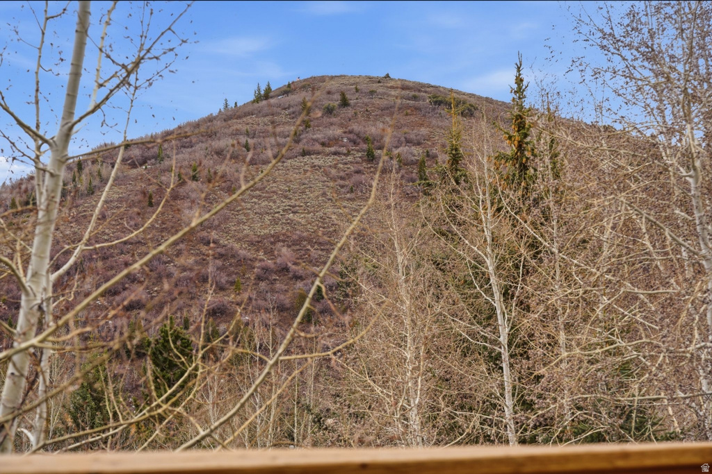 7890 BOOTHILL DR Park City, UT 84098