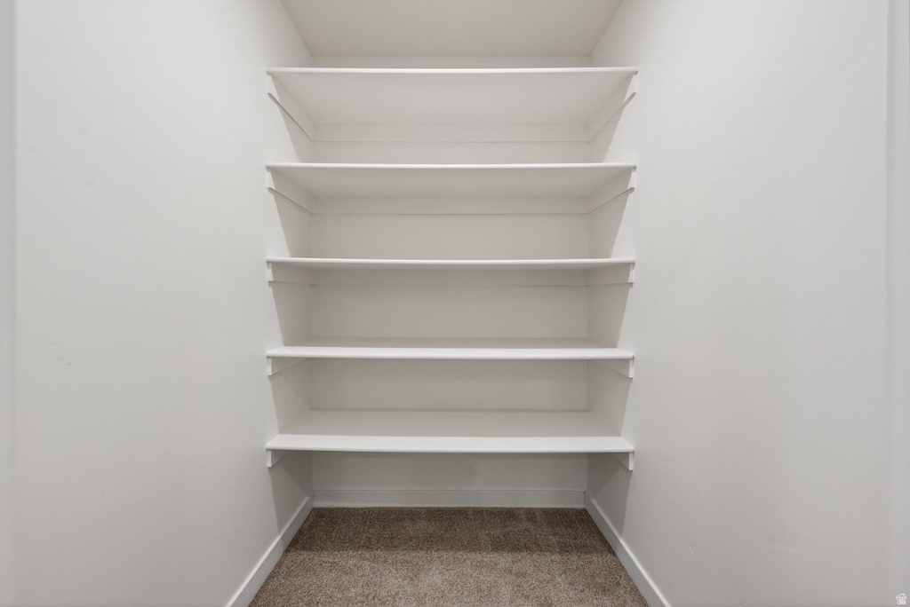 1257 S BLUFF ST #589 Santaquin, UT 84655