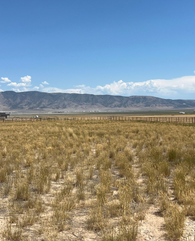 2609 N WEEKLY RD Eagle Mountain, UT 84005