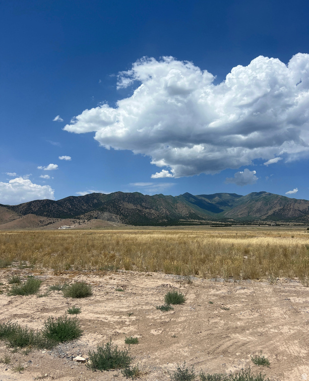 2609 N WEEKLY RD Eagle Mountain, UT 84005