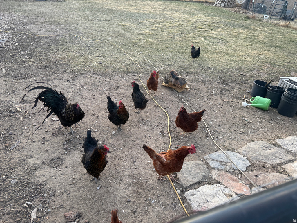 517 S 570 E Duchesne, UT 84021