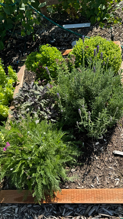 3056 S 1450 W Perry, UT 84302