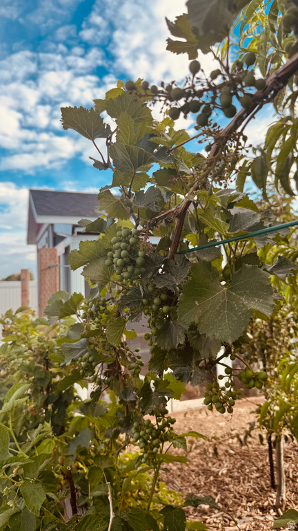 3056 S 1450 W Perry, UT 84302