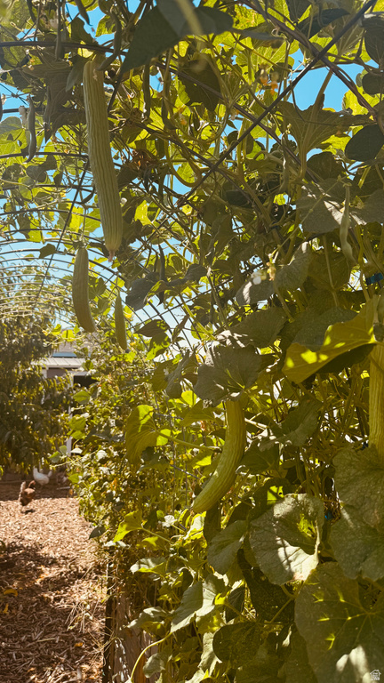 3056 S 1450 W Perry, UT 84302