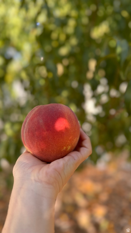 3056 S 1450 W Perry, UT 84302