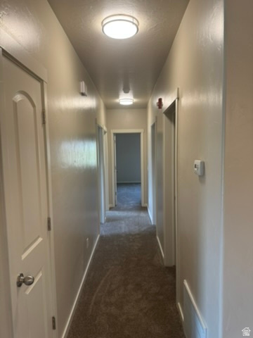 203 E JORDAN RIDGE BLVD #207 Saratoga Springs, UT 84045