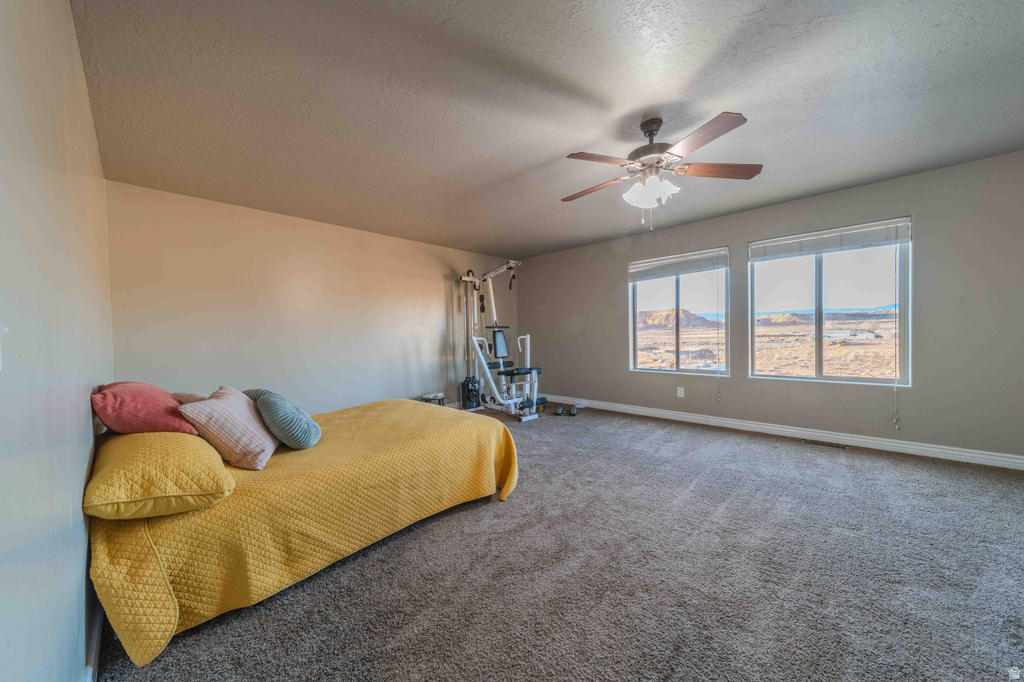 3259 E 1000 N #1 Ballard, UT 84066