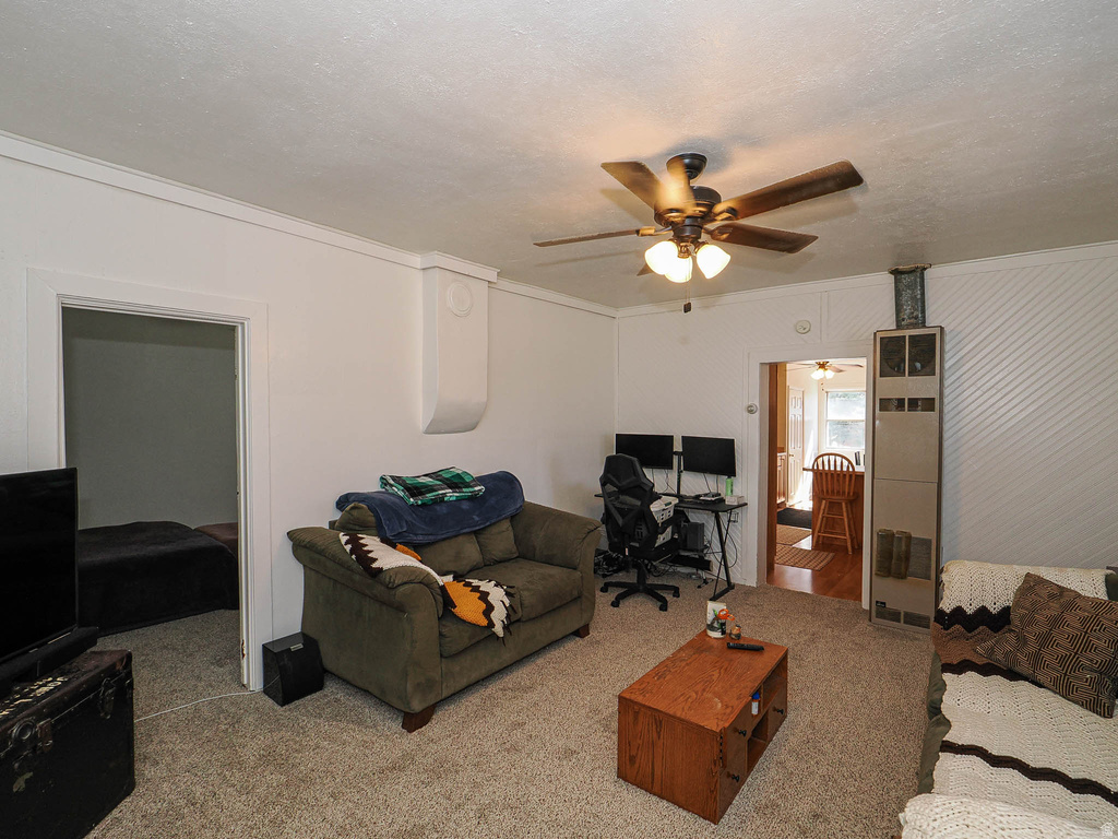 590 E 200 S Mt Pleasant, UT 84647