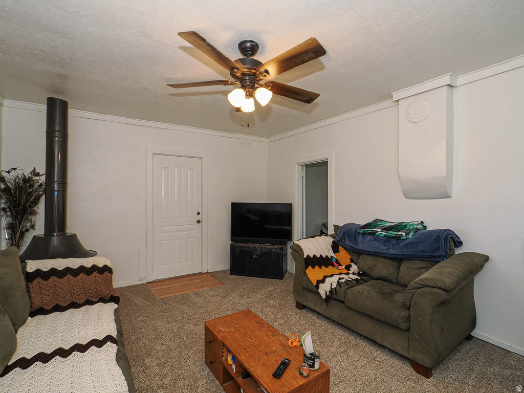 590 E 200 S Mt Pleasant, UT 84647