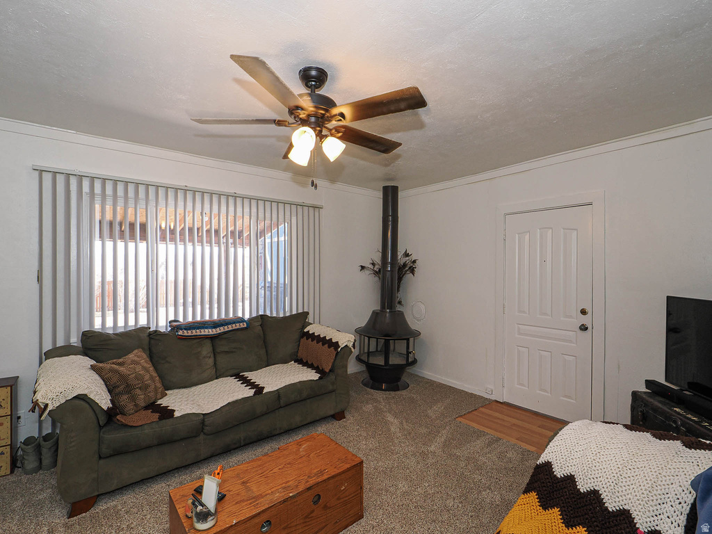 590 E 200 S Mt Pleasant, UT 84647