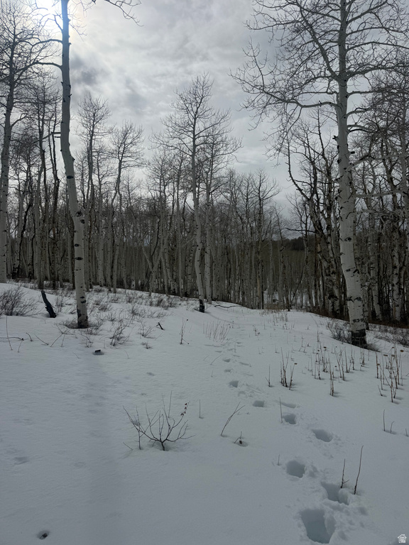 DR Spanish Fork, UT 84660