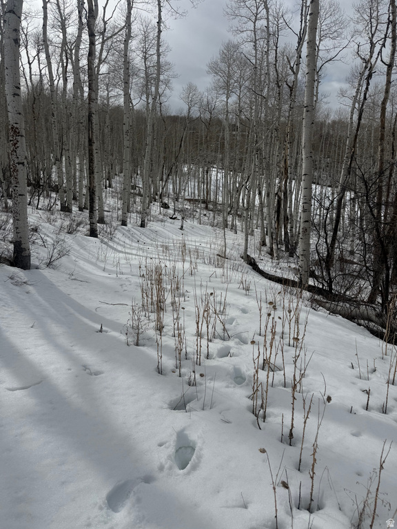 DR Spanish Fork, UT 84660