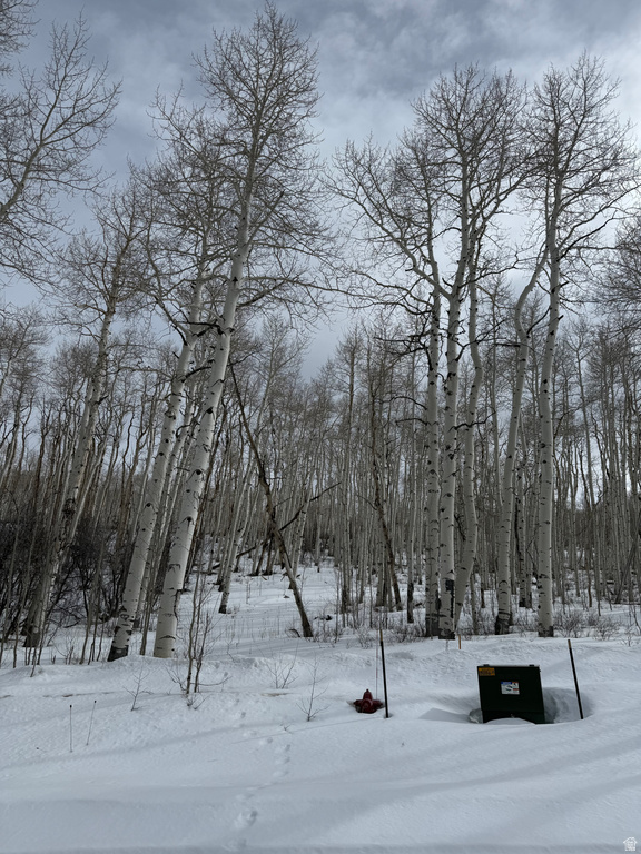 DR Spanish Fork, UT 84660