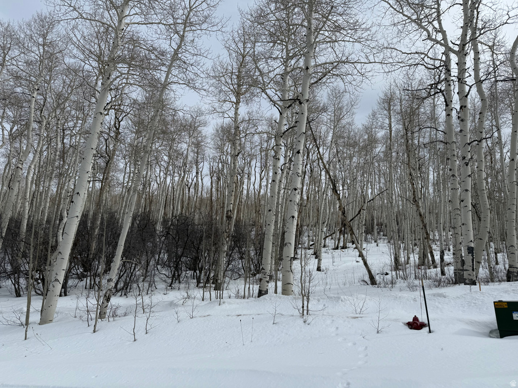 DR Spanish Fork, UT 84660