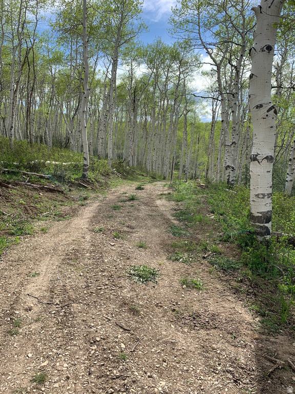 DR Spanish Fork, UT 84660