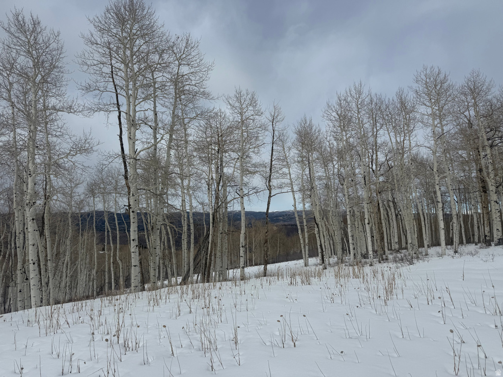 DR Spanish Fork, UT 84660