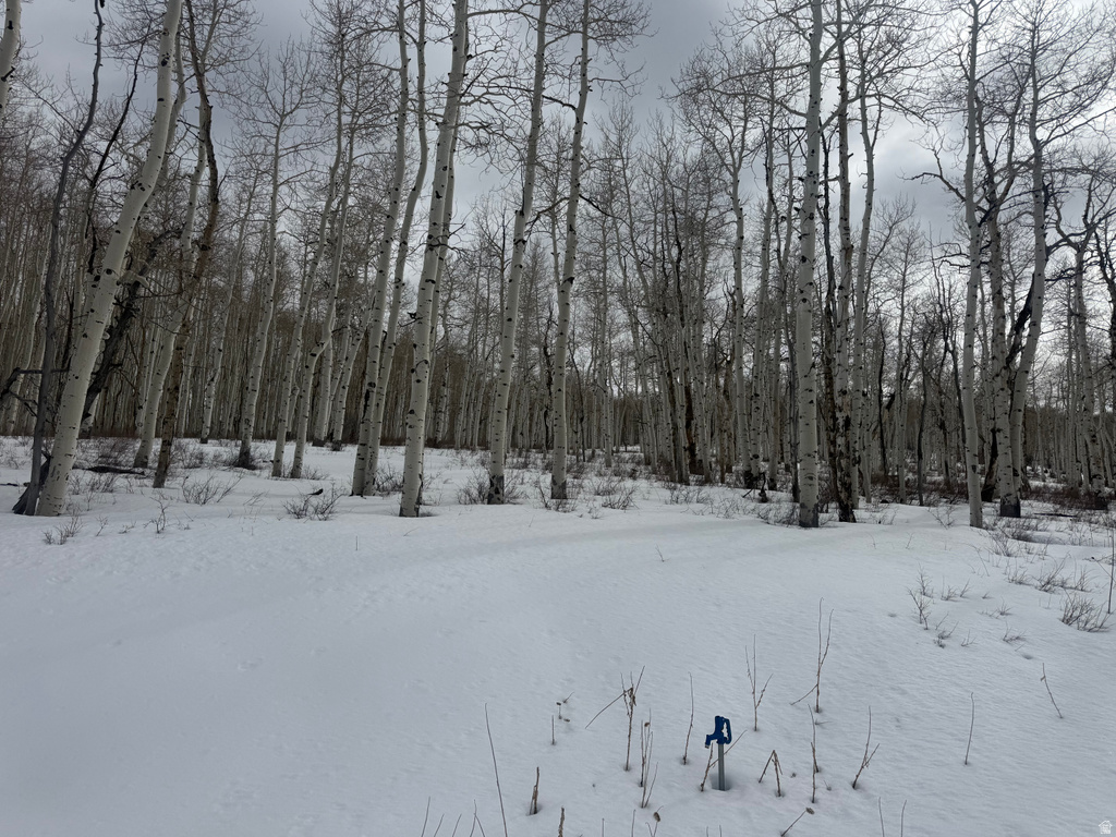 DR Spanish Fork, UT 84660