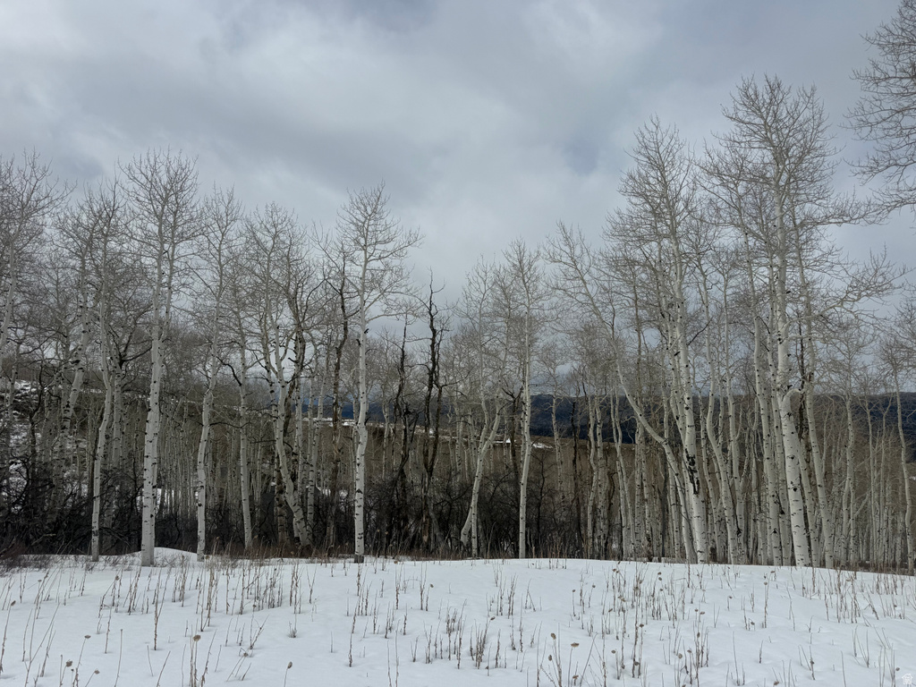 DR Spanish Fork, UT 84660